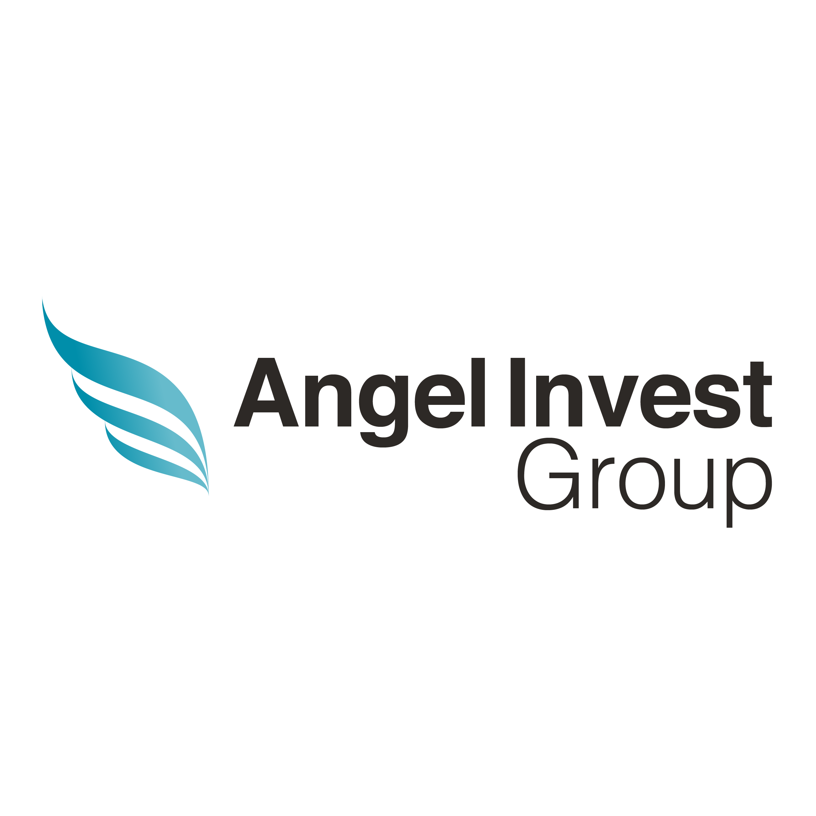 Angel Invest Group